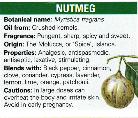 The magic of the nutmeg